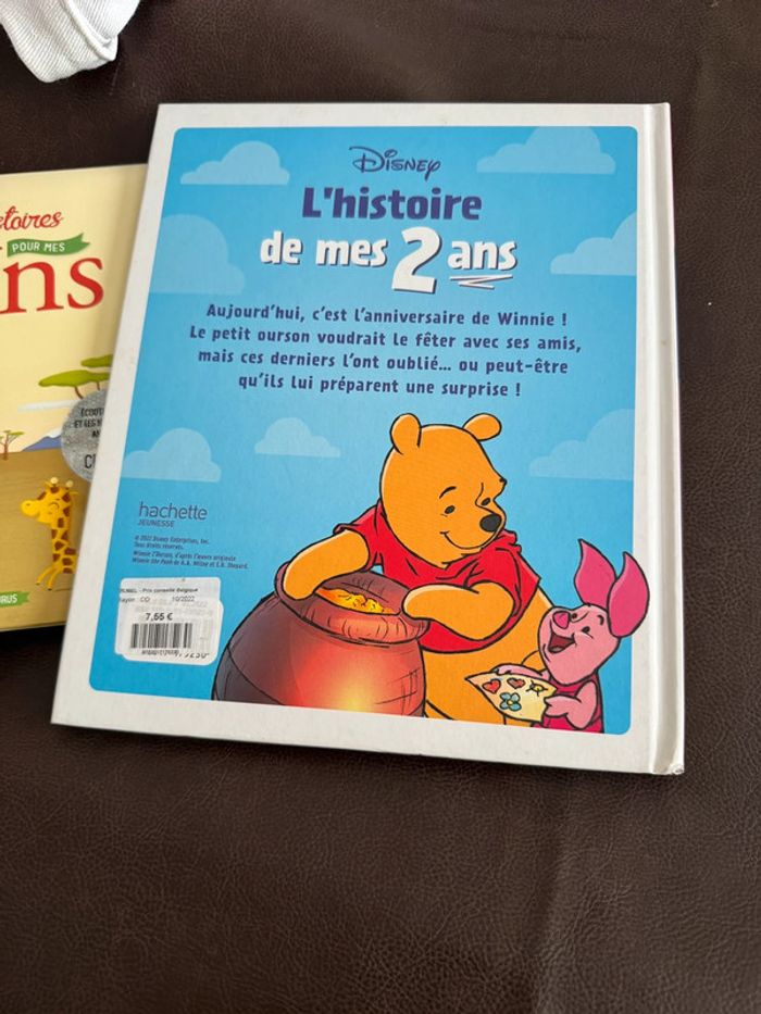L’histoire de mes 2 ans Winnie ourson - photo numéro 4