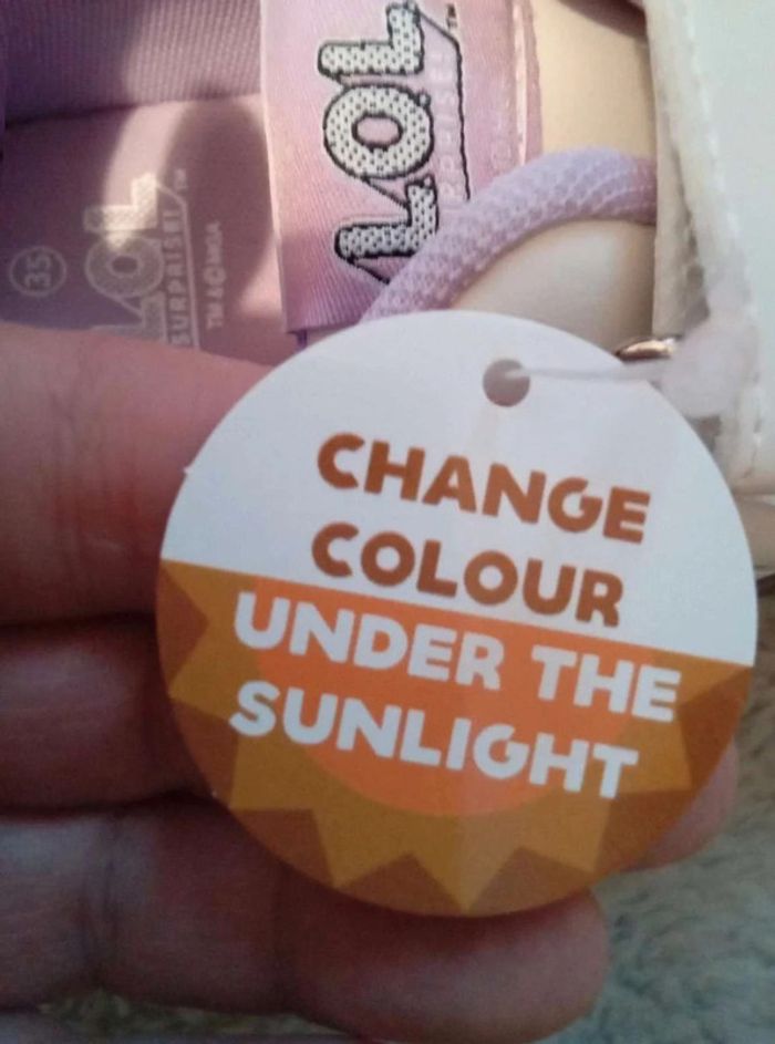 promotion - photo numéro 5