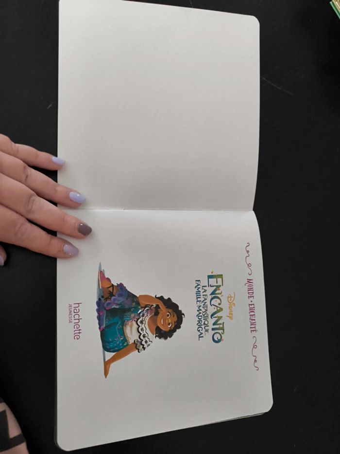 Livre - Encanto - photo numéro 4