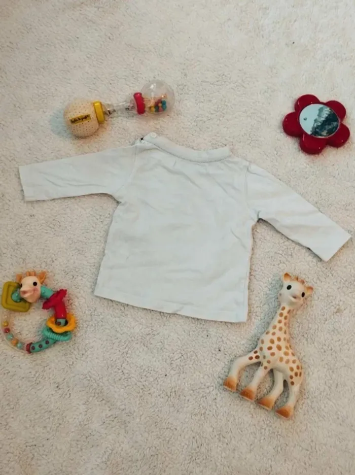 Tee-shirt - photo numéro 2