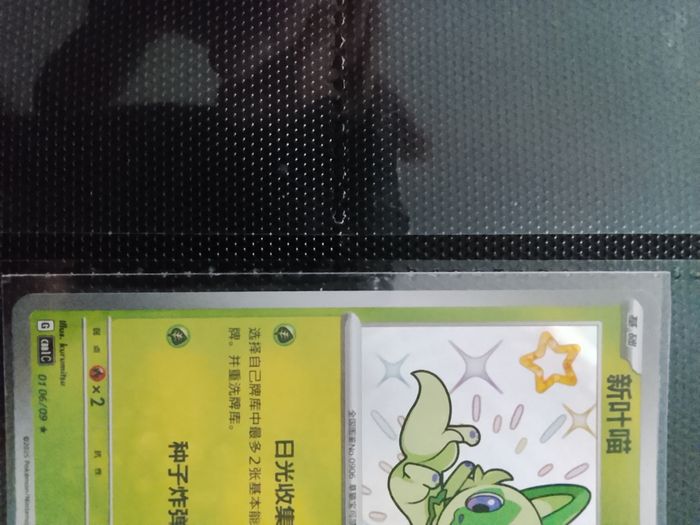 Carte Pokémon chinois - photo numéro 2