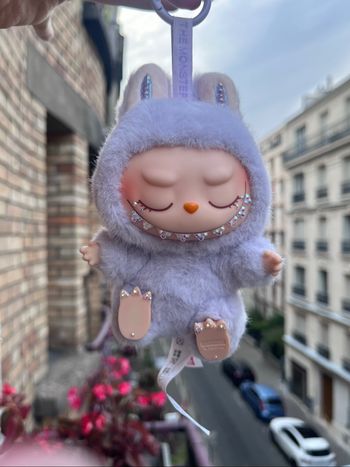 Labubu Custom ✨