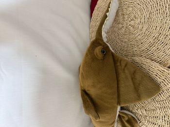 Peluche poisson scie  - wild republic