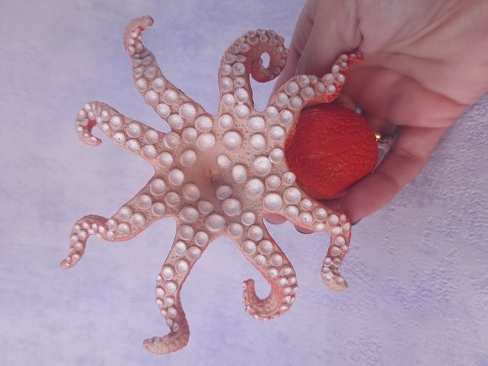 Jouet type schleich pieuvre octopus - photo numéro 4