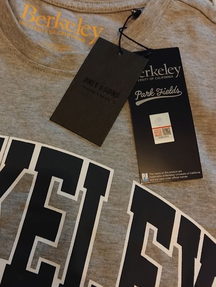 Tee-shirt BERKELEY - photo numéro 3