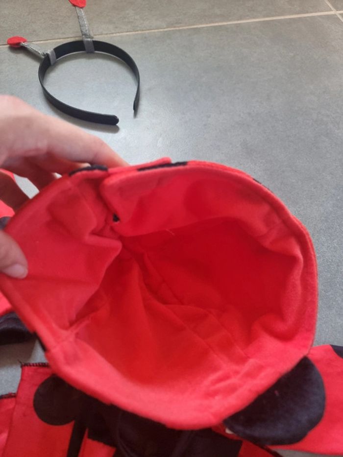Déguisement de coccinelle - photo numéro 6