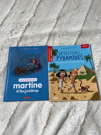 Livres pour apprendre à lire 