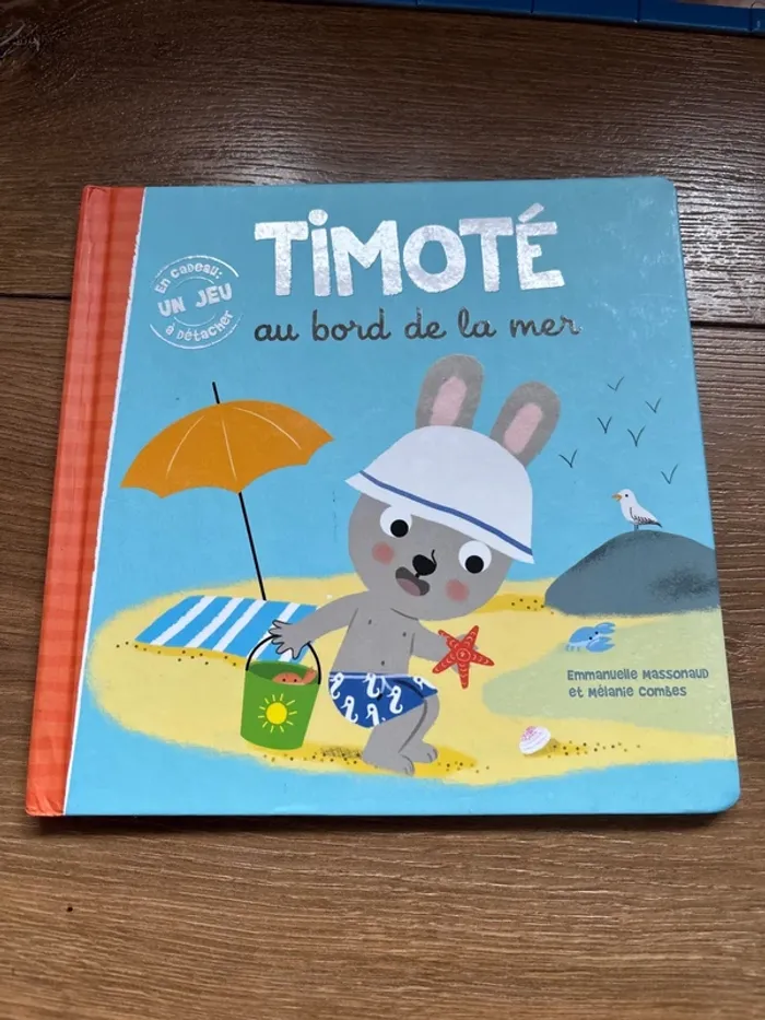 Livre Timoté au bord de la plage