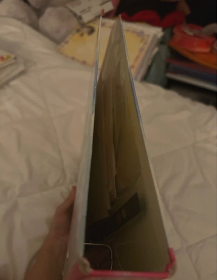 Classeur Diddl avec 104 feuilles 🩵🐭 - photo numéro 7