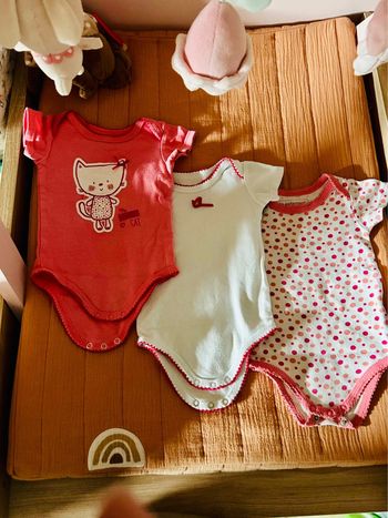 Lot 3 bodies in extenso