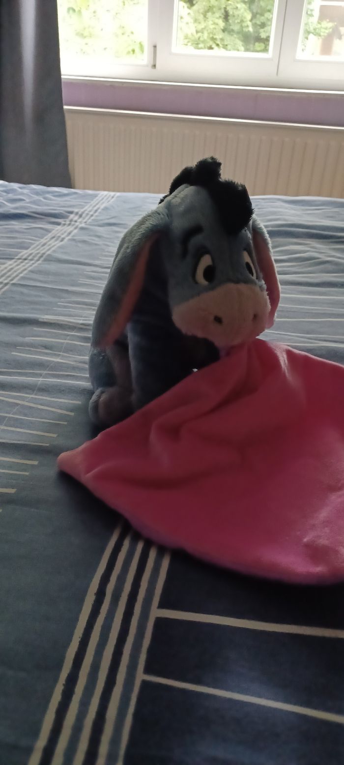 Très joli doudou - photo numéro 3