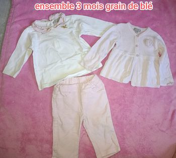 Ensemble grain de blé