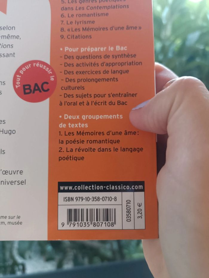 Les contemplations de Victor Hugo - photo numéro 5