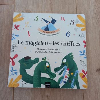 Livre le magicien et les chiffres