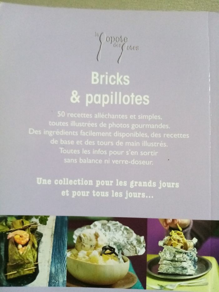 Livre cuisine : bricks et papillottes - photo numéro 3
