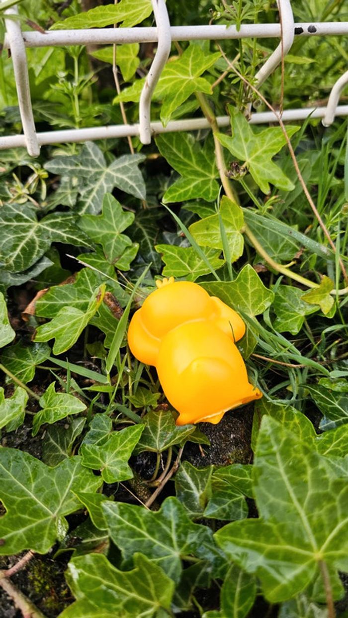 Super figurine Pokemon Psykokwak - photo numéro 4