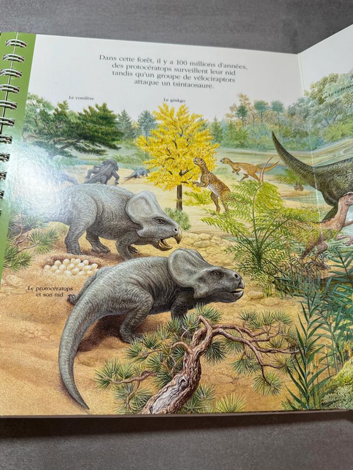 📚 Explore! Les dinosaures – mes premières découvertes (Gallimard Jeunesse) - photo numéro 6