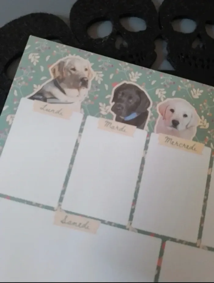 Emploi du temps en papier - photo numéro 2