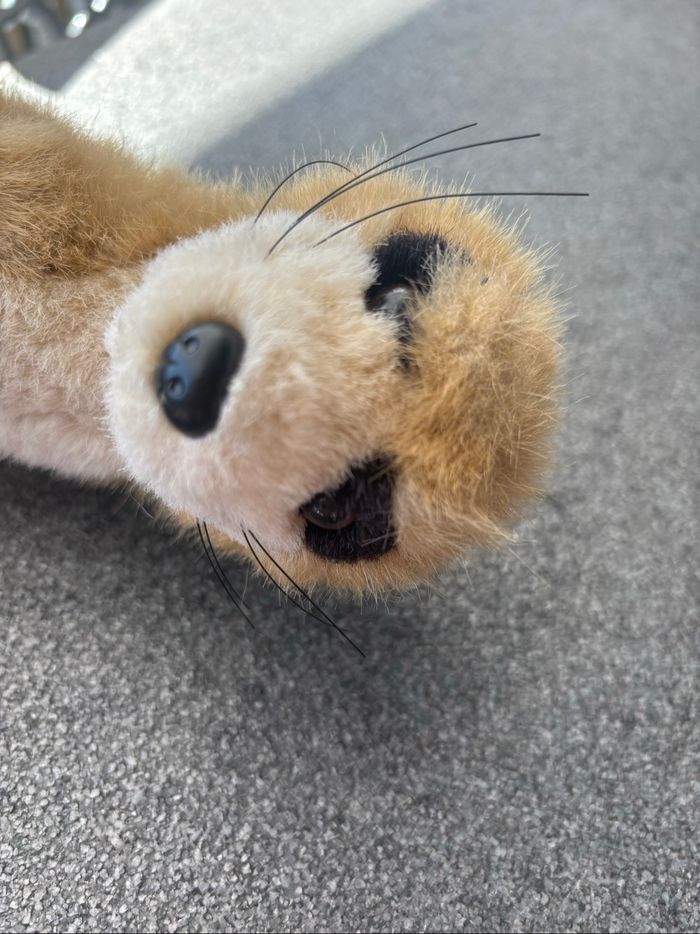 Peluche suricate - photo numéro 6