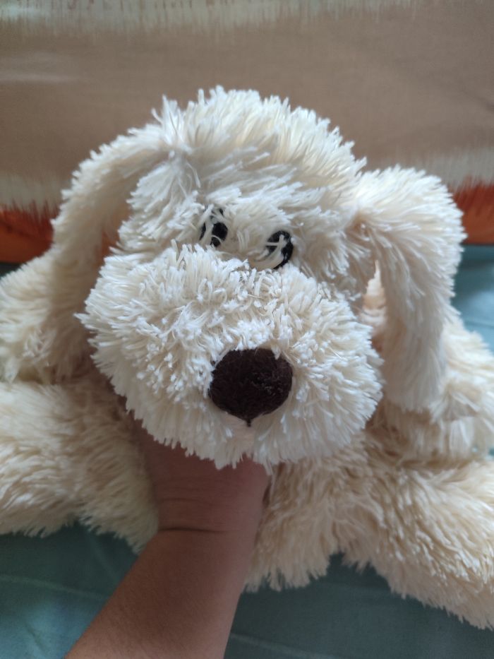 Chien range pyjama etam - photo numéro 2