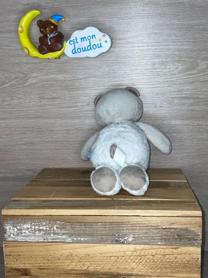 SDO189 doudou ours 🐻 sucre d’orge - photo numéro 2