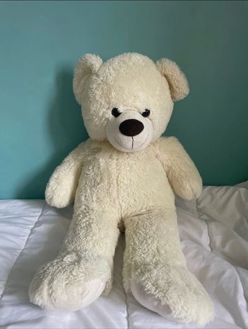 Gros nounours