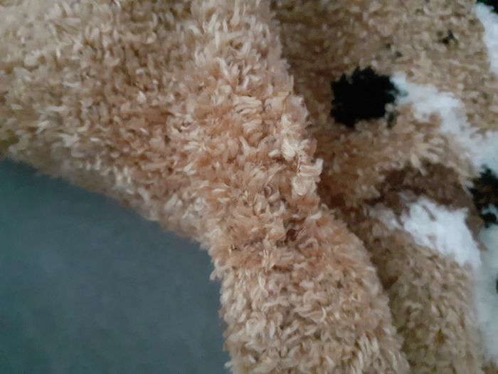 Combi - photo numéro 2