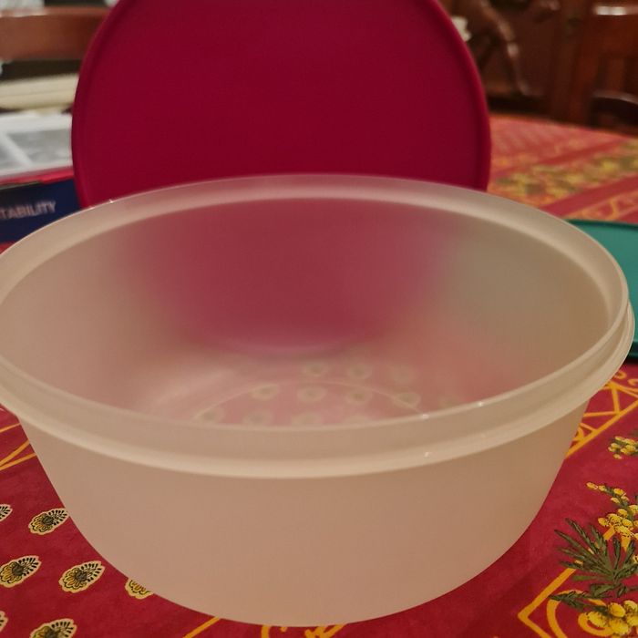 Lot  boîte conservation et Passoire à fruits et légumes Tupperware Neuf. - photo numéro 9