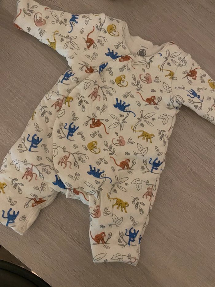 Grenouillère épaisse - photo numéro 2