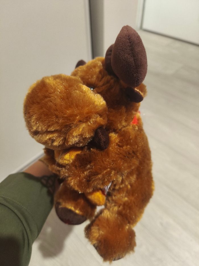 Renne / caribou canada