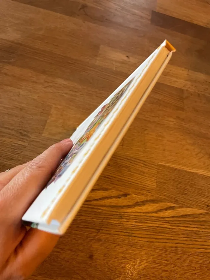 Livre Martine princesses et chevaliers - photo numéro 6