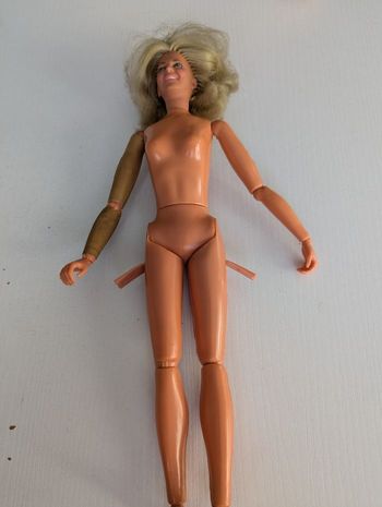 Lot ancienne poupée style barbie /kenner dont the bionic woman 1976