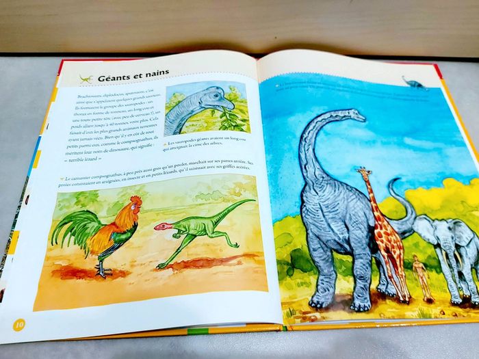 📚 Livre : Les dinosaures, savoir et découverte - photo numéro 3