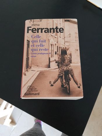 L'amie prodigieuse 3 - Celle qui fuit et celle qui reste