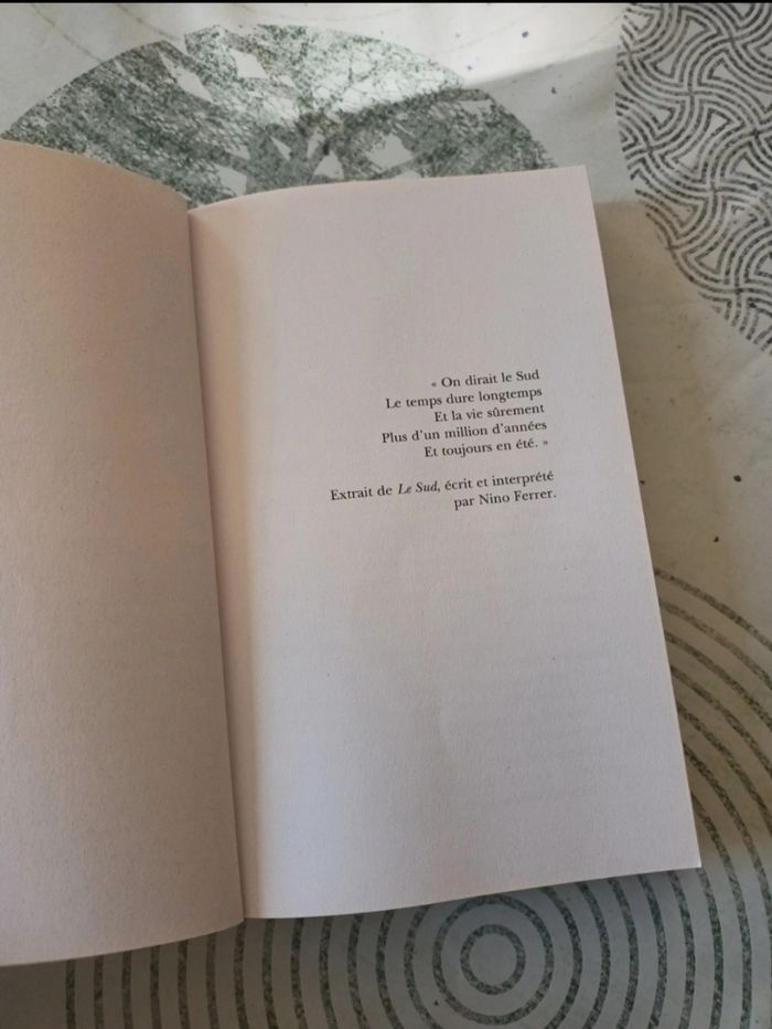 Livre " Toujours En Été " de Charlie Watt 🌻🌾 - photo numéro 2