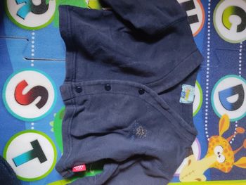Veste