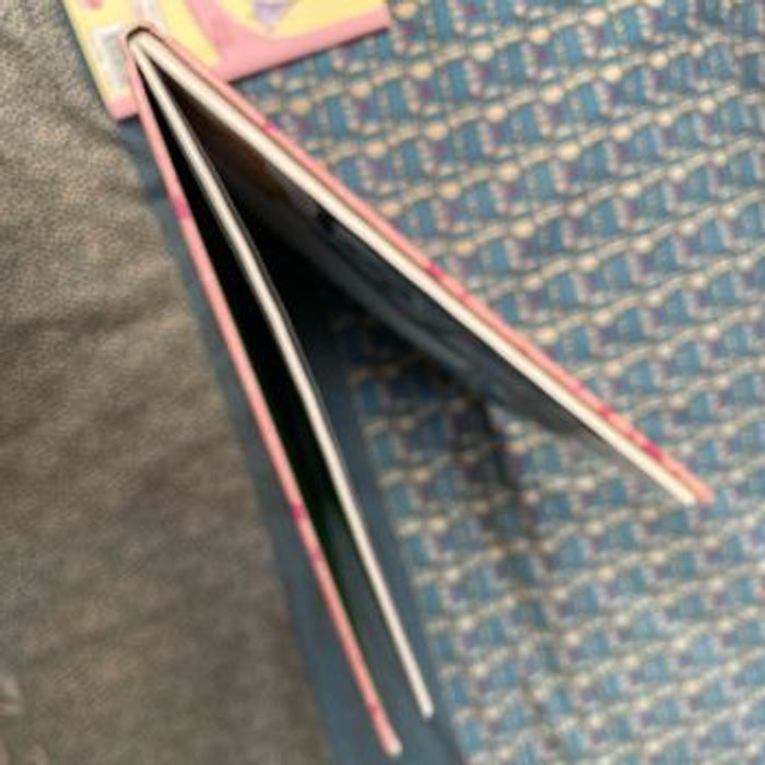 Grand livre 6 histoires de princesses pas comme les autres Rouge et Or - photo numéro 2