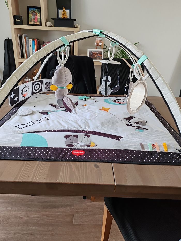 Tapis d'éveil - photo numéro 2