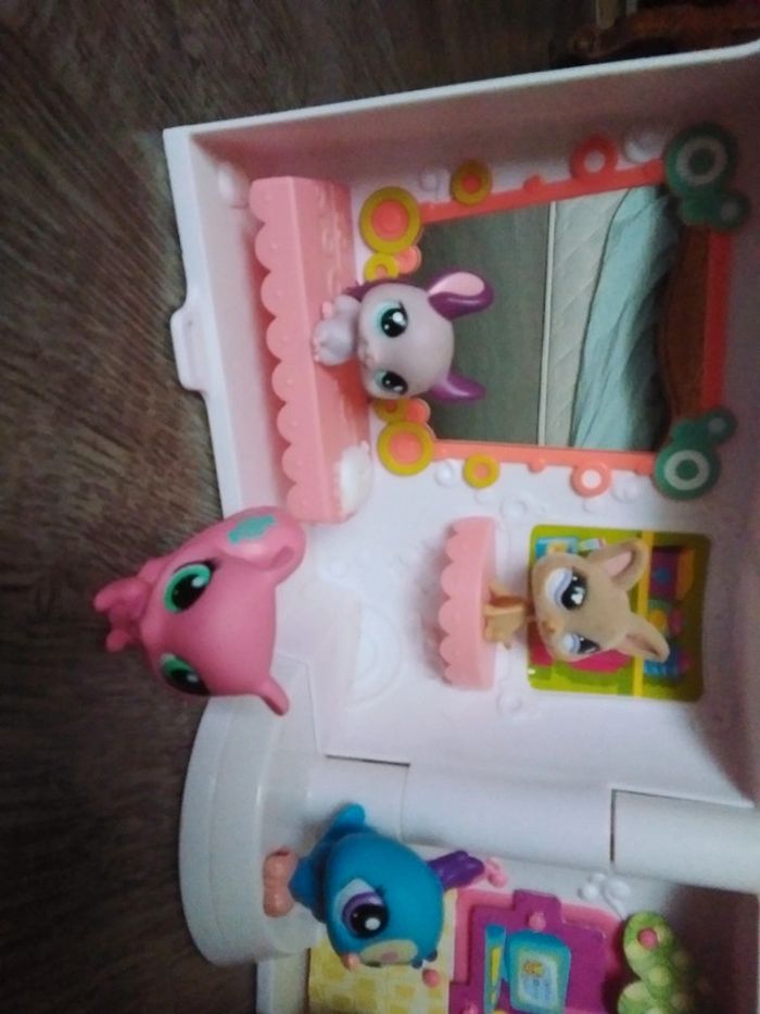 Lot pet shop et une maison - photo numéro 3