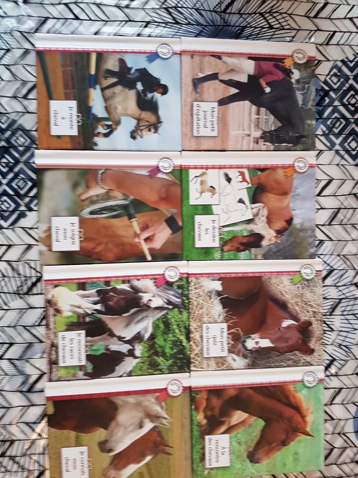 Livre - photo numéro 3