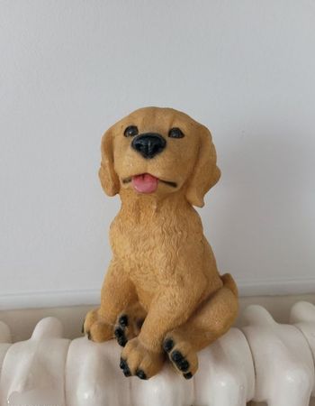 Labrador assis resine