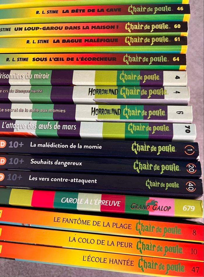 Chair de poule - photo numéro 5