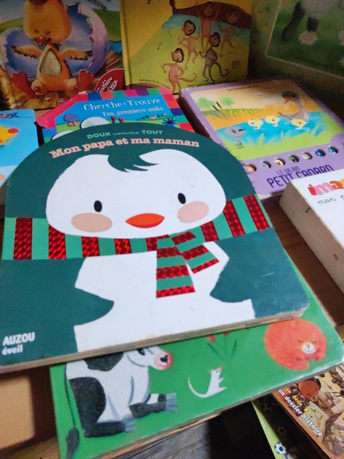 Lot de livres premier âge - photo numéro 5