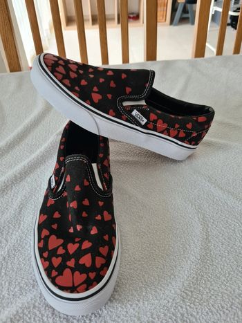 Skippers Vans