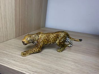 Jaguar  papo