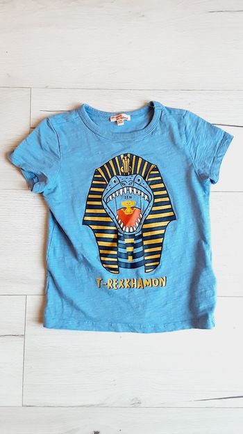 Vêtement garçon tee-shirt manches courtes bleu T rex khamon pharaon Du pareil au même DPAM 5 ans
