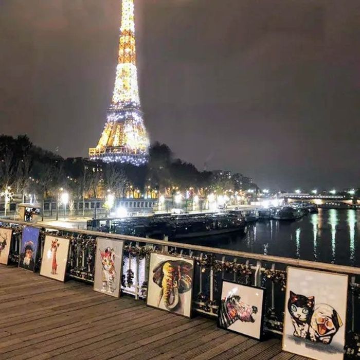 Tableaux peints à la main avec cadre et protection en plexiglass - photo numéro 2