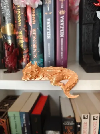 Dragon Endormi Gold