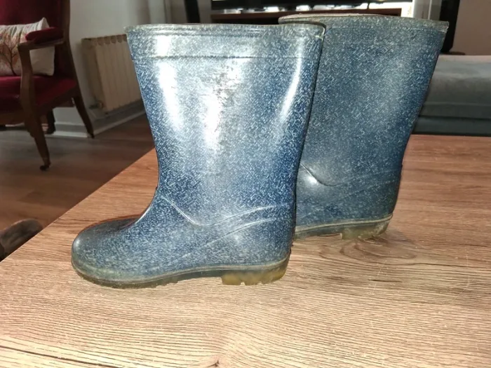 Bottes bleue - photo numéro 3