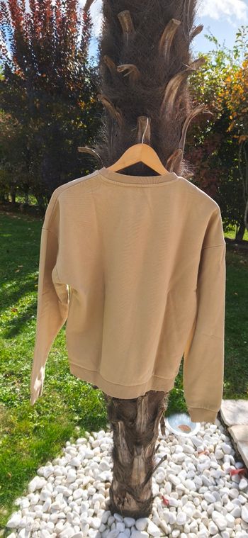 2  Sweat garçons coton parfait état